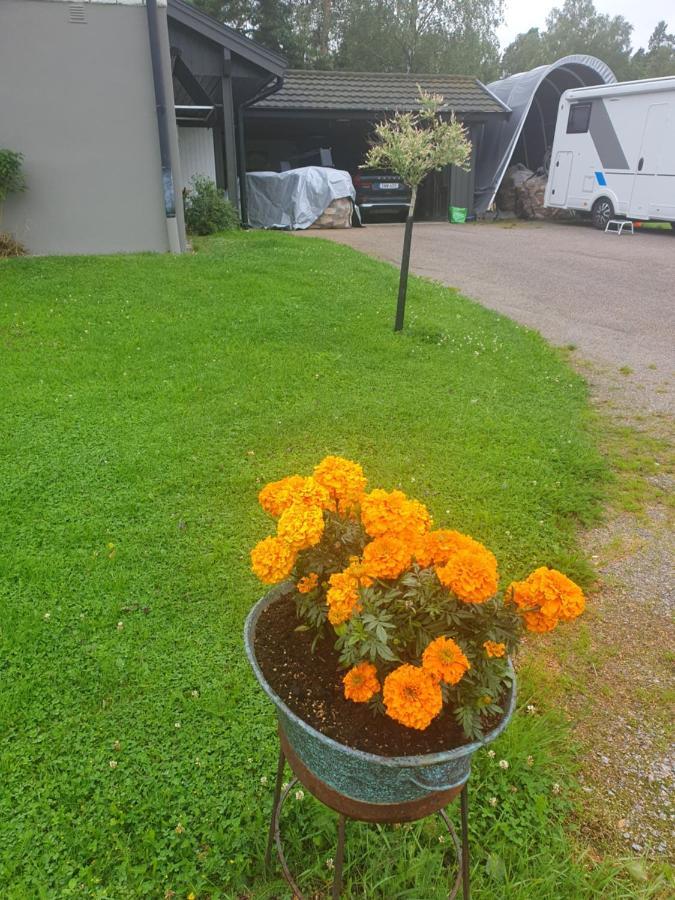 Norrtaelje Bed & Breakfast Bagian luar foto